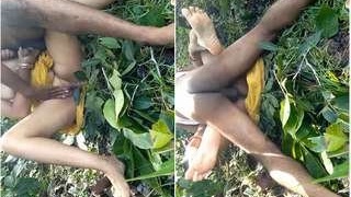 Indian couples indulge in steamy jungle sex