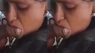 Amateur Telugu couple enjoys outdoor sex and blowjob in Part 2