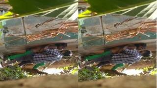 Desi couple enjoys outdoor sex in part 5 of MMS series