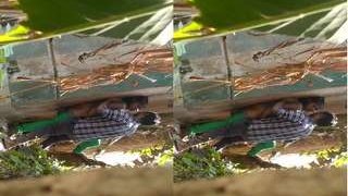 Desi couple indulges in passionate outdoor sex in part 5 of exclusive MMS series
