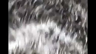 Tamil aunty flaunts her curves in saree