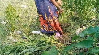 Bengali bhabhi's steamy field sex video