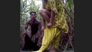 Desi couple enjoys sugarcane play in field